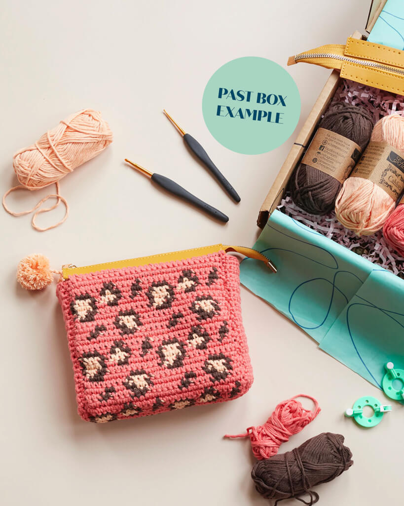 Chainplus Crochet Kit for Beginners, 6 Pcs Potted Flowers DIY Kit for  Adults and Kids, Crochet Starter Knitting Kit for Complete Beginners  (Yellow) 