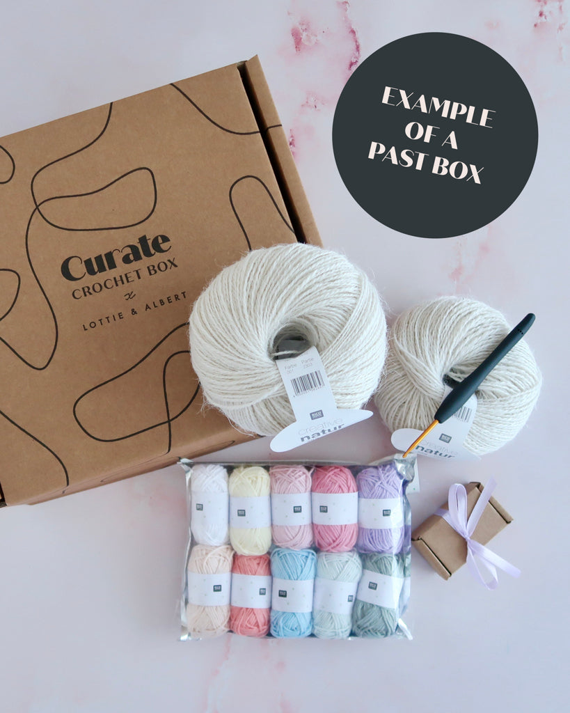 subscription-box-past-project-example-kit-curate-crochet-box-lottie-and-albert